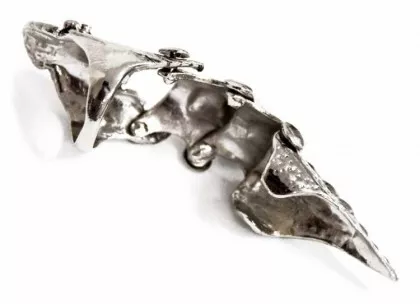 Gelenk Fingerring Reptilien Haut