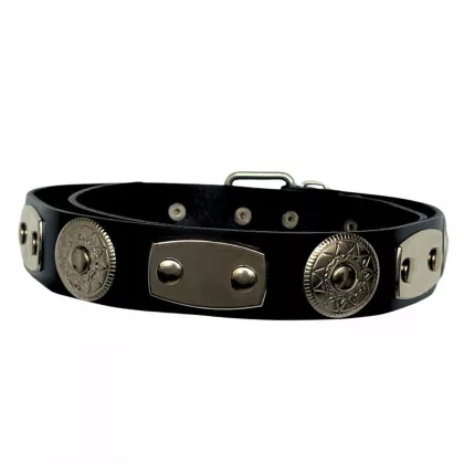 Ledergürtel mit Conchos und Ziernieten flach