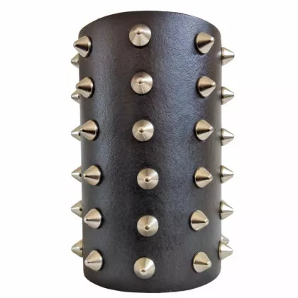 Armschiene Spitznieten