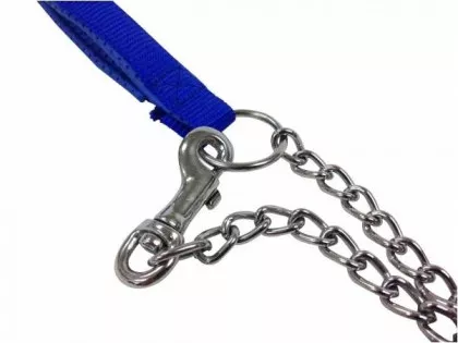 Dogplay Leine - Blau