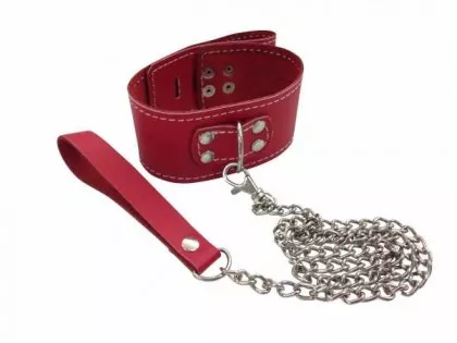 Lederhalsband mit Führungsleine