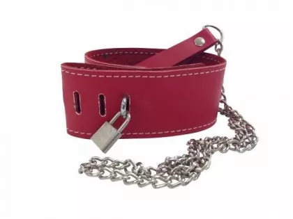 Leather Neckband with Leash