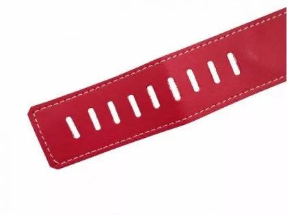 Leather Neckband with Leash