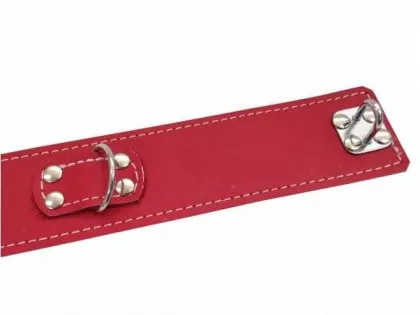Leather Neckband with Leash