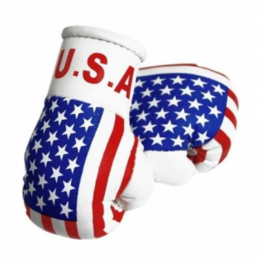 USA Mini Boxhandschuhe