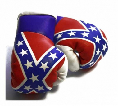Südstaaten Mini Boxhandschuhe