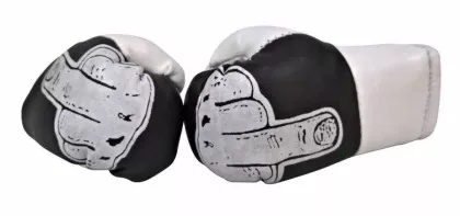 Stinkefinger Mini Boxhandschuhe