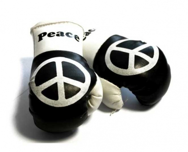 Peace Mini Boxing Gloves