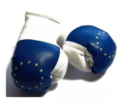 Europa Mini Boxhandschuhe