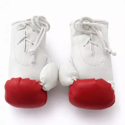 Mini-Boxhandschuhe – Albanien (Länderflagge)
