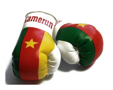 Kamerun Mini Boxhandschuhe