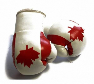 Kanada Mini Boxhandschuhe