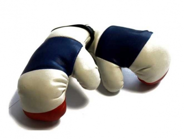 France Mini Boxing Gloves