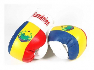 Romania Mini Boxing Gloves
