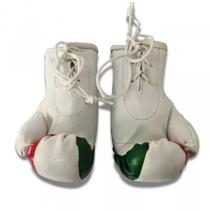 Kurdistan Mini Boxhandschuhe