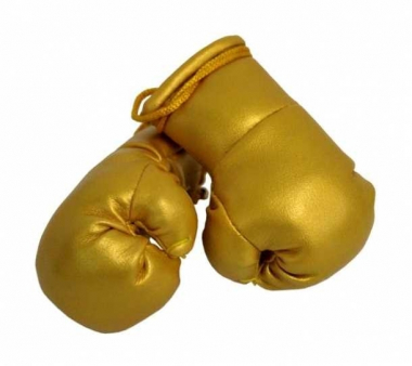 Goldfarbene Mini Boxhandschuhe