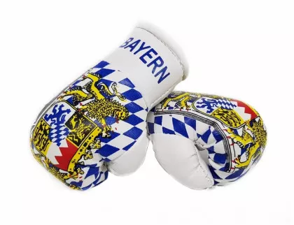 Bayern Mini Boxhandschuhe