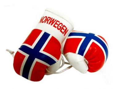 Norway Mini Boxing Gloves