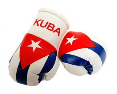 Kuba Mini Boxhandschuhe