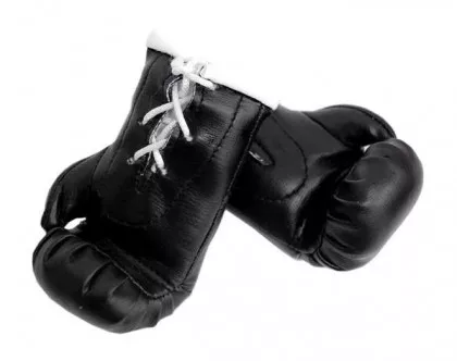 Totenkopf Mini Boxhandschuhe