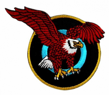 Embroidered Patch Eagle
