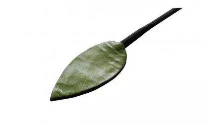 Schwarze Gerte