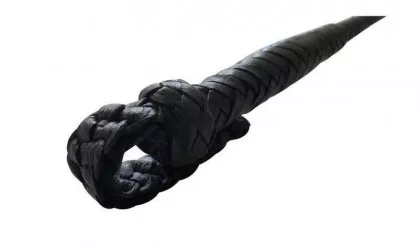 Schwarze Gerte