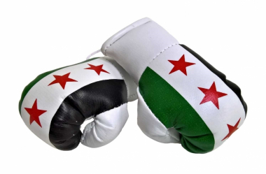 Syrien Mini Boxhandschuhe