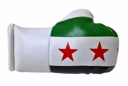 Syrien Mini Boxhandschuhe
