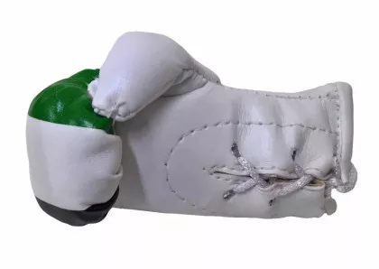 Syrien Mini Boxhandschuhe