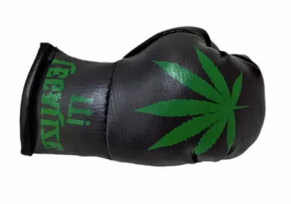 Cannabis Mini Boxhandschuhe