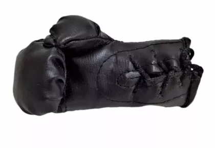 Cannabis Mini Boxhandschuhe