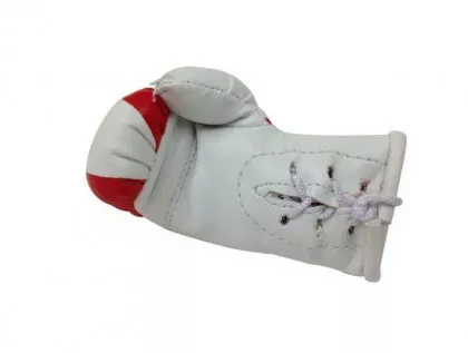 Österreich Mini Boxhandschuhe