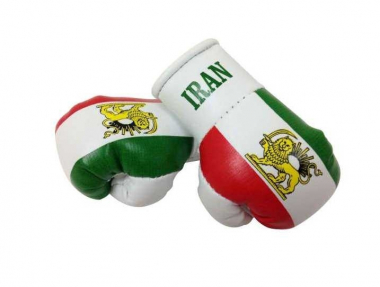 Iran Mini Boxhandschuhe