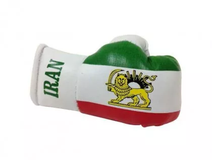 Iran Mini Boxing Gloves