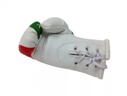 Iran Mini Boxing Gloves