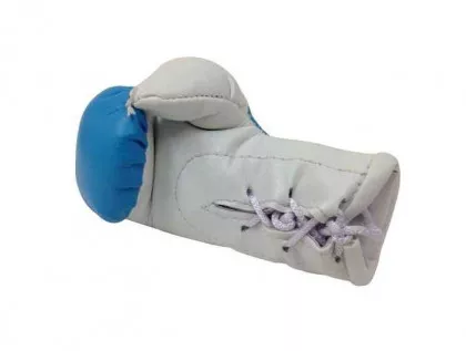 Turkistan Mini Boxhandschuhe