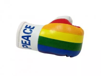 Peace Mini Boxhandschuhe