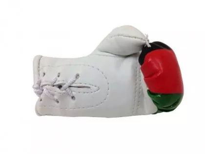 Afghanistan Mini Boxhandschuhe