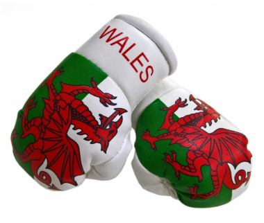 Wales Mini Boxing Gloves