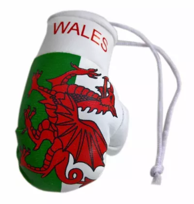Wales Mini Boxhandschuhe