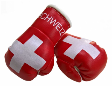 Schweiz Mini Boxhandschuhe
