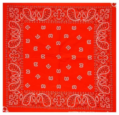 XL Bandana Halstuch Orange Paisley