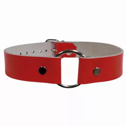O Ring Choker Rot