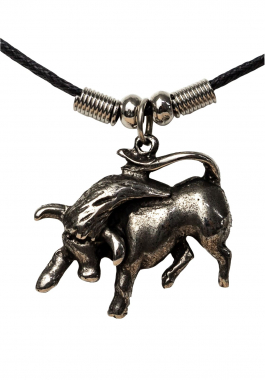 Zodiac Sign Pendant Necklace Taurus