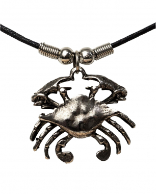Zodiac Sign Pendant Necklace Cancer