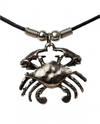 Zodiac Sign Pendant Necklace Cancer