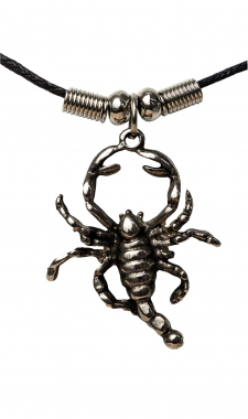 Zodiac Sign Pendant Necklace Scorpio