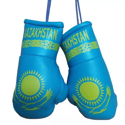 Kasachstan Mini Boxhandschuhe
