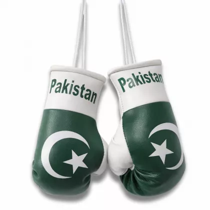 Pakistan Mini Boxhandschuhe